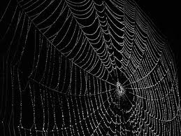 The Writer's Web.