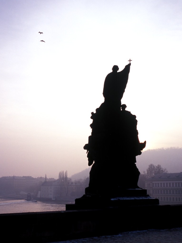 Gulls Above Prague