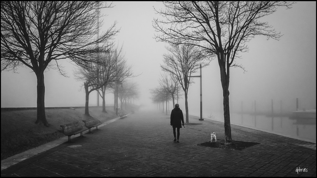 “It is a question of understanding my&nbsp;destiny.”